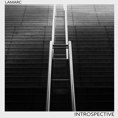 Lamarc - Introspective