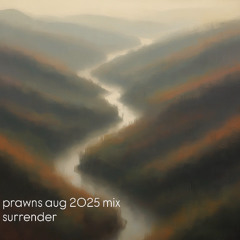 Prawns Aug 2025 mix Surrender