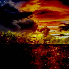 Reasonable doubt (Reupload)