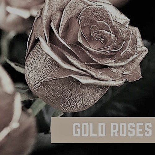Stream GOLD ROSES DRAKE VERSE (REMIX BY MIKEYONDABEAT) by Miguel Cruz