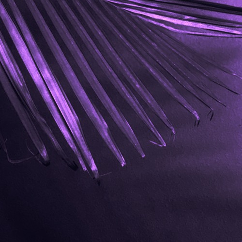 HighMelatonin (Prod. Development)
