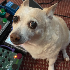 Neuromorphic Hallucination