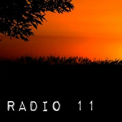 Radio 11 (Shi) - Nguyễn Đình Toàn
