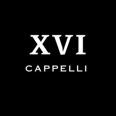 MUSIK XVI (MIXED BY CAPPELLI)