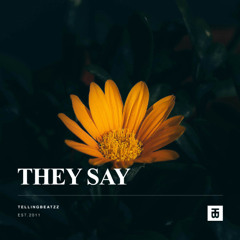 Mac Miller x Nina Simone Type Beat - "They Say" with Hook
