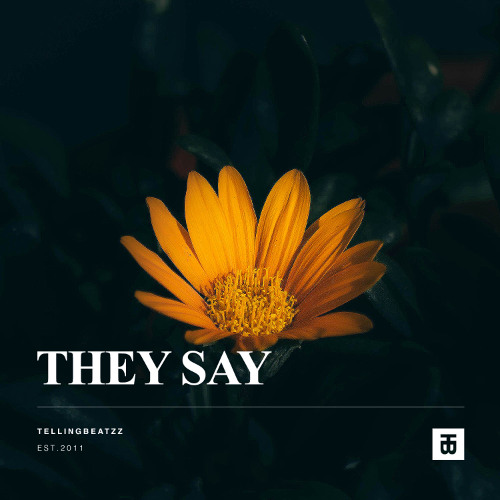 Mac Miller x Nina Simone Type Beat - "They Say" with Hook