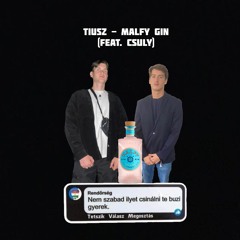 malfy gin (feat. csuly)