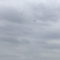 Defizite (alte Version)