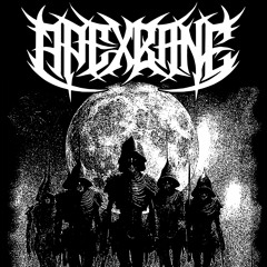 APEX BANE - SHADES (INSTRUMENTAL)