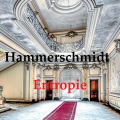 Hammerschmidt - Entropie  (H - Virus - SamplerRemix)
