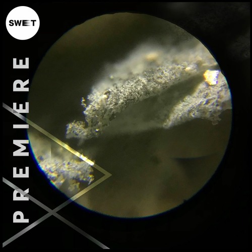 PREMIERE : Remcord - High Society (Original Mix) [REBA]