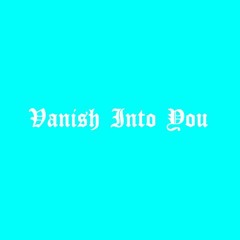 Lady Gaga - Vanish Into You (remix)