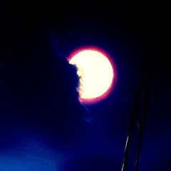 Neon Butterflies - [IASong Prod.]