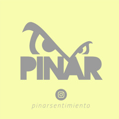EL PINAR Discoteca / TEMAZOS