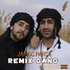 Jamos Parsa Remix Gang