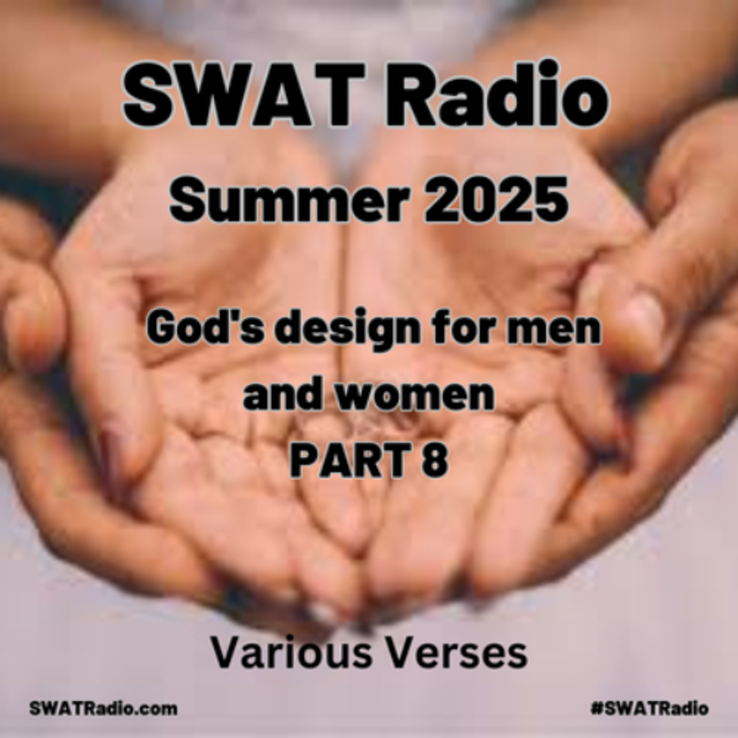 SWAT - 08-18 - Summer Series - God's Design Pt 8