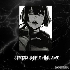 stedrys sample challenge