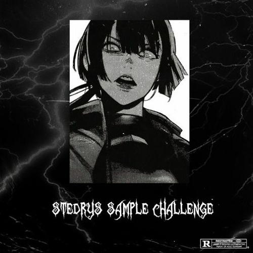 stedrys sample challenge