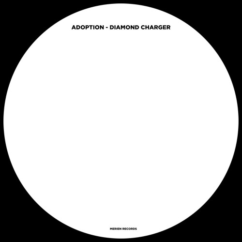 Adoption - Copy But Not Paste (Original Mix)