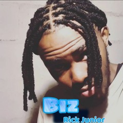 Rick Júnior Biz