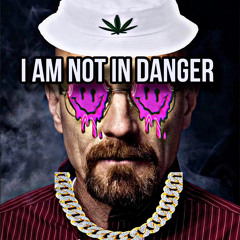 I AM NOT IN DANGER