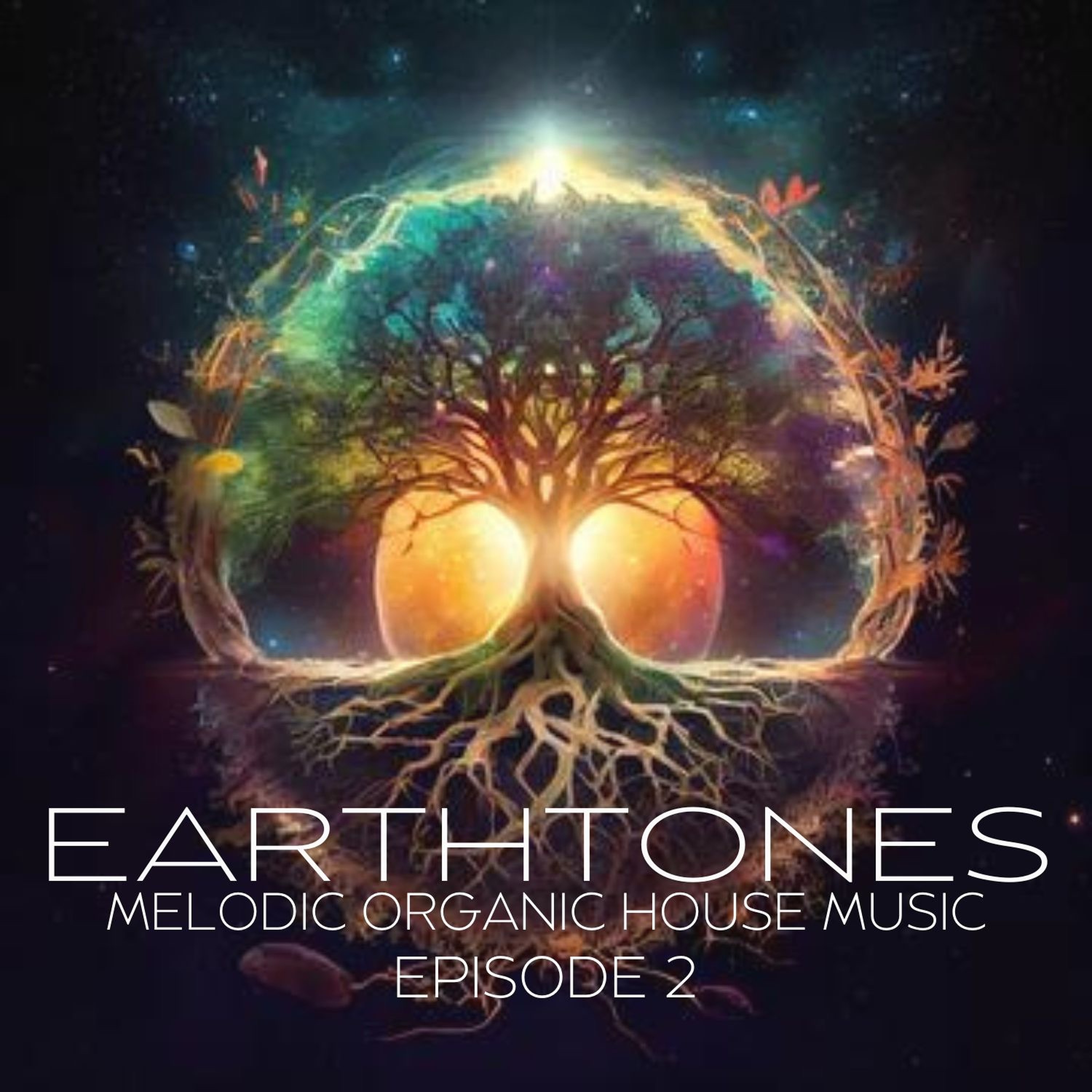Earthtones - Episode 2 Artwork