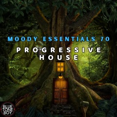 Moody Essentials 70 ~ #ProgressiveHouse #DeepHouse Mix