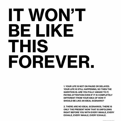 PINEAPPLE RADIO A MUSIC CURATION TO DESIGN TO.