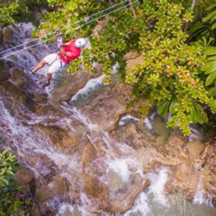 Review Special Price Atv Horse Ride Zipline Falls Climb Lunch From Montego Bay