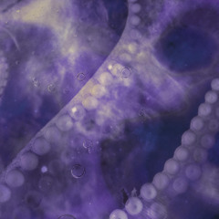 Out Of The Void Festival 2025 - Deep Techno Set