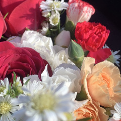 DAISIES (PROD: CRESCNTA)