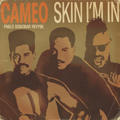 Skin I'm In (Pablo Diskobar ReVybe)