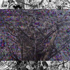 cross wired \prod. jxvn/