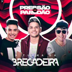 TURMA DA BREGADEIRA - PRESSÃO NOS PAREDÕES (MÚSICAS NOVAS) VERÃO 2021