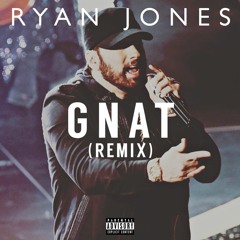 Gnat (Remix) - Original Track by Eminem