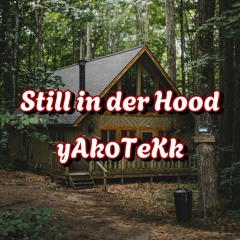 yAk0TeKk - Still in der Hood [DashTekk RMX]