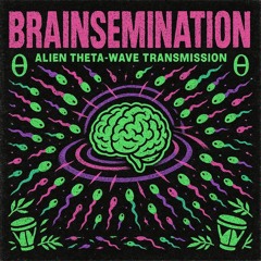 BRΛINSΞMINΛTION