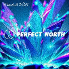 Perfect North: Essentials Vol.5