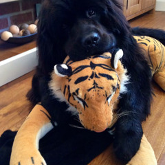 zai my bitch a pretty succubus im a pretty incubus prod dolba