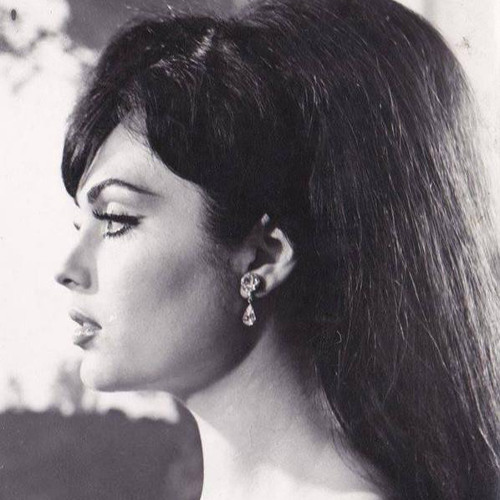 "الرمش كنه من طوابير شمر لا صفها عبدالعزيز الجنازة" عبدالله بن داموك