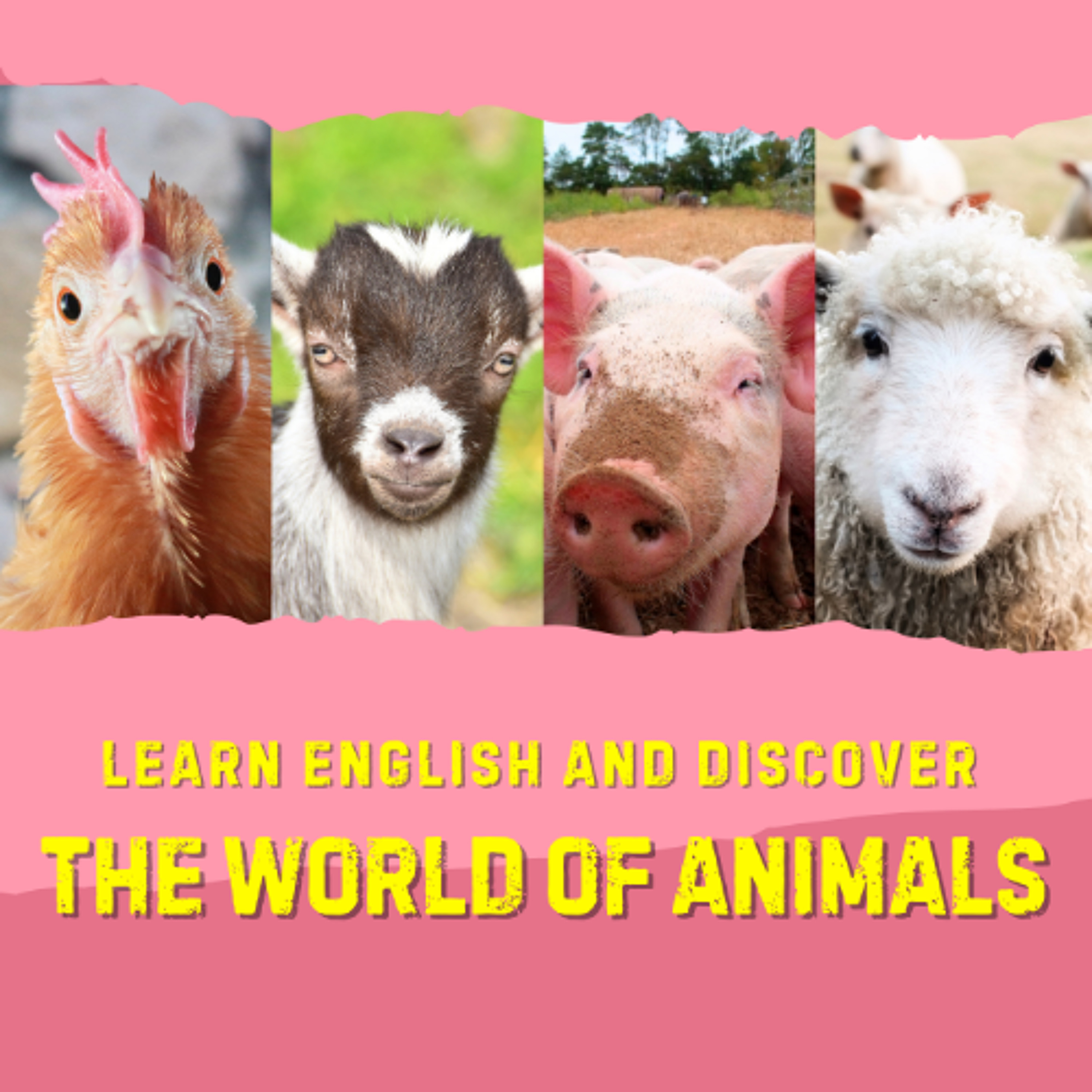 Aprende inglés y descubre el mundo de los animales - Learn English and discover the world of animals episode artwork