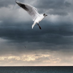 Tolerance Break  (prod.  6narle My last beat, I quit.)