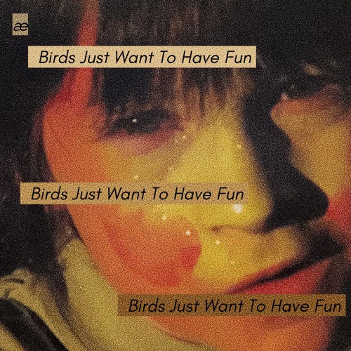 Birds Just Want To Have Fun