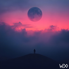 Wexo Deep+Funky House DJ Mix