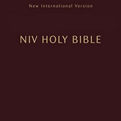 ACCESS [EBOOK EPUB KINDLE PDF] NIV, Holy Bible, Compact, Paperback, Burgundy, Comfort