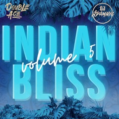 Indian Bliss vol 5 Dj AdamNyc X DJ DoubleAce