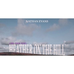 Nathan Evans - Heather On The Hill (Chris Boom Hyper Techno Remix).mp3