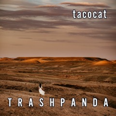 Trash Panda / TP033 / Tacocat [Thursday Live] @ Altitude Lounge, Burning Man 2019 / 2019-08-29