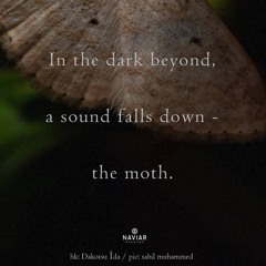 in the dark beyond (#naviarhaiku628)