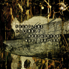 Everything Must Perish (Radio Edit)
